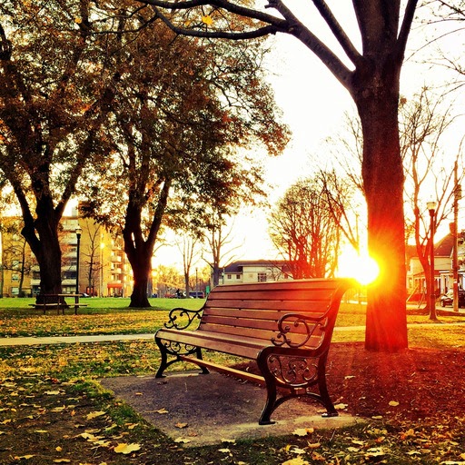 Wooden Garden Benches