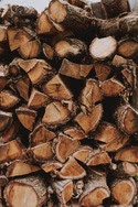 Type of Wood